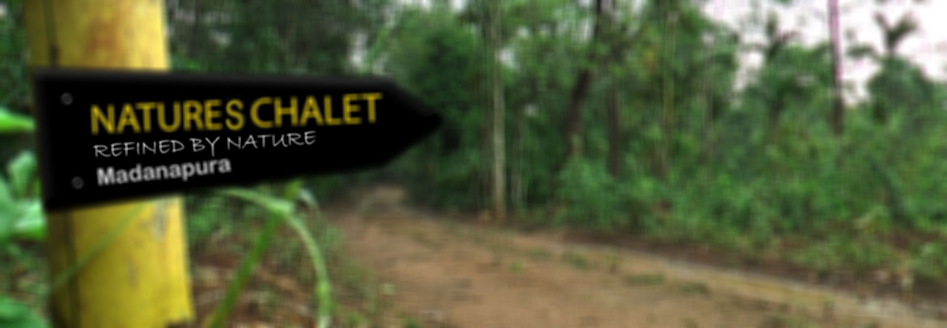 Banner 3